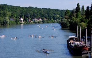 Tête de Rivière de Fontainebleau - 11 Novembre 2021