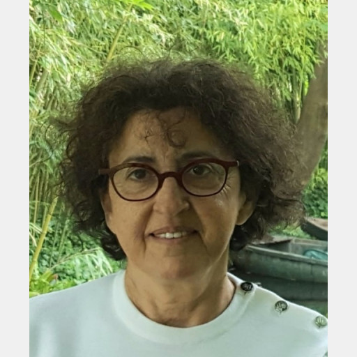 Michele Attal